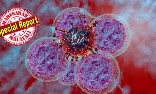 കാന്‍സര്‍ ചികിത്സയില്‍ വഴിത്തിരിവാകുന്ന നിര്‍ണായക കണ്ടെത്തല്‍! സാധാരണ ചികിത്സകളേക്കാള്‍ സുരക്ഷിതവും ഫലപ്രദവുമായ ചികിത്സാ മാര്‍ഗം കണ്ടെത്തിയെന്ന് ഗവേഷകര്‍; കാന്‍സറിനെ പ്രതിരോധിക്കാന്‍ കഴിയുന്ന കോശങ്ങളുടെ പുതിയ പരമ്പരകള്‍ വികസിപ്പിച്ചത്  മസാച്യുസെറ്റ്സ് ഇന്‍സ്റ്റിറ്റ്യൂട്ട് ഓഫ് ടെക്നോളജിയിലെ ഗവേഷകര്‍