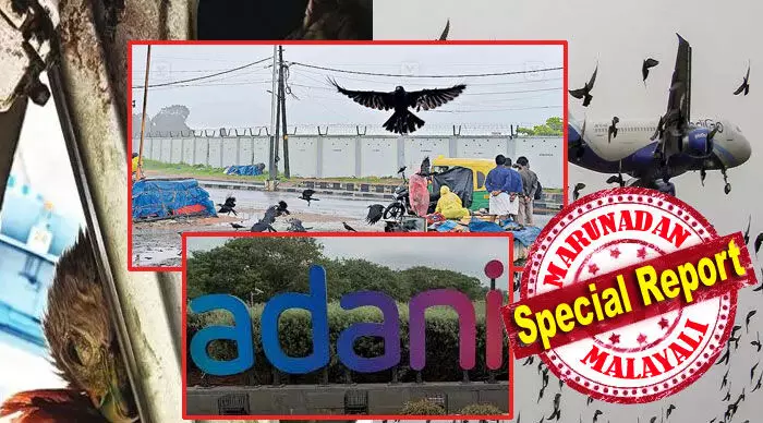 പരുന്തും കാക്കയും കൊക്കും ഉള്പ്പെട്ട പക്ഷിക്കൂട്ടങ്ങള് ഉയര്ത്തുന്നത് വന് സുരക്ഷാ ഭീഷണി; കുവൈറ്റ് എയര്വേയ്സ് വിമാനം പന്നിറങ്ങുമ്പോള് പാഞ്ഞടുത്ത് പക്ഷിക്കൂട്ടം; പൈലറ്റിന്റെ മനസാന്നിധ്യം സുരക്ഷിത ലാന്ഡിംഗ് ആയപ്പോള് ഒഴിവായത് വന് ദുരന്തം; ഒരാഴ്ചയ്ക്കിടെ കഷ്ടിച്ച് രക്ഷപ്പെട്ടത് നാലു വിമാനങ്ങള്; അദാനി എയര്പോര്ട്ട് സുരക്ഷിതമോ? പക്ഷി ഭീഷണിയില് തിരുവനന്തപുരം പരുന്തും കാക്കയും കൊക്കും ഉള്പ്പെട്ട പക്ഷിക്കൂട്ടങ്ങള് ഉയര്ത്തുന്നത് വന് സുരക്ഷാ ഭീഷണി; കുവൈറ്റ് എയര്വേയ്സ് വിമാനം പന്നിറങ്ങുമ്പോള് പാഞ്ഞടുത്ത് പക്ഷിക്കൂട്ടം; പൈലറ്റിന്റെ മനസാന്നിധ്യം സുരക്ഷിത ലാന്ഡിംഗ് ആയപ്പോള് ഒഴിവായത് വന് ദുരന്തം; ഒരാഴ്ചയ്ക്കിടെ കഷ്ടിച്ച് രക്ഷപ്പെട്ടത് നാലു വിമാനങ്ങള്; അദാനി എയര്പോര്ട്ട് സുരക്ഷിതമോ? പക്ഷി ഭീഷണിയില് തിരുവനന്തപുരം