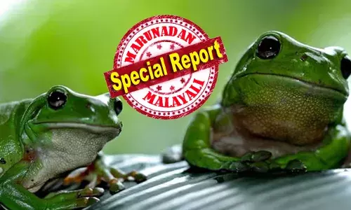 കടുത്ത നടുവേദന മാറാന്‍ നാടന്‍ ചികിത്സാരീതി; 82കാരി വിഴുങ്ങിയത് ജീവനുള്ള ഏട്ടു തവളകളെ:  വയറുവേദന സഹിക്കാനാവാതെ ചൈനയില്‍ വയോധിക ആശുപത്രിയില്‍