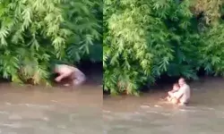രാവിലെ തോട്ടിൽ അസാധാരണ കാഴ്ച; നിമിഷ നേരം കൊണ്ട് നാട്ടുകാർ ഓടിയെത്തി; വെള്ളത്തിൽ ജീവനില്ലാത്ത അവസ്ഥയിൽ ഒരാൾ; ഒടുവിൽ പോലീസിന്റെ പരിശോധനയിൽ സംഭവിച്ചത് രാവിലെ തോട്ടിൽ അസാധാരണ കാഴ്ച; നിമിഷ നേരം കൊണ്ട് നാട്ടുകാർ ഓടിയെത്തി; വെള്ളത്തിൽ ജീവനില്ലാത്ത അവസ്ഥയിൽ ഒരാൾ; ഒടുവിൽ പോലീസിന്റെ പരിശോധനയിൽ സംഭവിച്ചത്