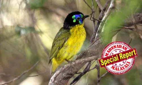 ലോകത്തിലെ പകുതിയിലധികം പക്ഷി ജീവിവര്‍ഗങ്ങളും വംശനാശത്തിലേക്ക് നീങ്ങുന്നു; ജൈവവൈവിധ്യ ഉച്ചകോടിയിലെ ശാസ്ത്രജ്ഞര്‍ ലോകത്തിന് നല്‍കുന്നത് വലിയ മുന്നറിയിപ്പ്; നീര്‍നായകളുടെയും ധ്രുവക്കരടികളുടെയും എണ്ണത്തിലും കുറവ്; ആഗോള താപനം വലിയ വെല്ലുവിളി