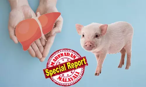 വൈദ്യശാസ്ത്ര രംഗത്ത് മറ്റൊരു വന്‍ വിപ്ലവം കൂടി! പന്നിയില്‍ നിന്ന് മനുഷ്യനിലേക്ക് ആദ്യമായി കരള്‍ മാറ്റിവെച്ച ശസ്ത്രക്രിയ വിജയകരം;  ജനിതകമാറ്റം വരുത്തിയ പന്നിയുടെ കരള്‍ മാറ്റിവെച്ച ശേഷം ആറ് മാസത്തോളം ജീവിച്ചു രോഗി