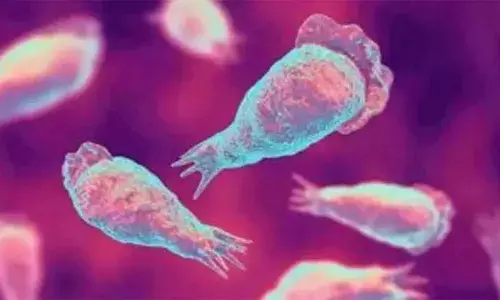 പാലക്കാട് 62കാരന് അമീബിക് മസ്തിഷ്‌കജ്വരം സ്ഥിരീകരിച്ചു; കൊടുമ്പ് സ്വദേശി വെന്റിലേറ്ററില്‍ ചികിത്സയില്‍