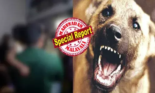 അമ്പല പരിസരത്ത് കുട്ടിയുടെ അലറിവിളി; ആളുകൾ ഓടിയെത്തിയപ്പോൾ നെഞ്ചുലയ്ക്കുന്ന കാഴ്ച; എറണാകുളത്ത് മൂന്ന് വയസ്സുകാരിക്ക് നേരെ തെരുവുനായ ആക്രമണം; ചെവി പാതിയും കടിച്ചുപറിച്ചെടുത്ത നിലയിൽ; നായയെ നാട്ടുകാർ ചേർന്ന് അടിച്ചുകൊന്നു; പേവിഷബാധ ഉണ്ടോ എന്ന് സംശയം