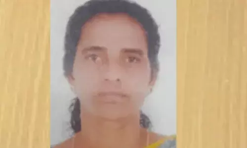 അബദ്ധത്തിൽ വൈദ്യുതപോസ്റ്റിന്റെ സ്റ്റേ വയറിൽ കയറി പിടിച്ചതും അപകടം; ഷോക്കേറ്റ് സ്ത്രീ തൊഴിലാളിക്ക് ദാരുണാന്ത്യം; ഒരാൾക്ക് ഗുരുതര പരിക്ക്; സംഭവം ഹരിപ്പാട്