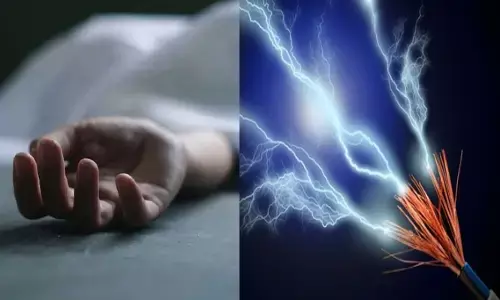 കാട് വെട്ടുന്നതിനിടെ വൈദ്യുതി ലൈനിൽ നിന്ന് ഷോക്കേറ്റ് യുവാവിന് ദാരുണാന്ത്യം; ആശുപത്രിയിൽ എത്തിച്ചെങ്കിലും ജീവൻ രക്ഷിക്കാൻ സാധിച്ചില്ല; സംഭവം കൊല്ലം പുനലൂരിൽ