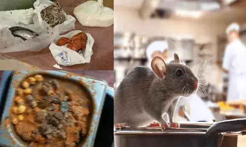 മോരിൽ നിറച്ച് പ്രാണികൾ; അടുക്കളയിൽ ഓടിച്ചാടുന്ന എലികൾ; മനം മടുത്തുന്ന കാഴ്ചകൾ കണ്ട് മൂക്ക് പൊത്തി ഉദ്യോഗസ്ഥർ; ഇതൊക്കെ എന്തെന്ന ചോദ്യത്തിന് ഉടമയുടെ വിചിത്ര വാദം; ഹോട്ടൽ പൂട്ടിച്ചു