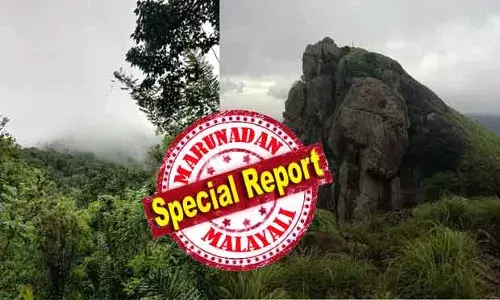 അനധികൃതമായി വനത്തില്‍ കയറിയതിന് വനം വകുപ്പിന്റെ ഇമ്പോസിഷന്‍ ശിക്ഷ; യൂട്യൂബ് വീഡിയോ കണ്ടെത്തിയര്‍ നിരോധനം ലംഘിച്ച് ട്രെക്കിങ്ങിന് പോയി; മൂടല്‍മഞ്ഞില്‍ വഴി തെറ്റി; ലൊക്കേഷന്‍ പോലീസിന് അയച്ചു കൊടുത്ത് രക്ഷപ്പെടല്‍; തെന്മല രാജാക്കൂപ്പില്‍ കുടുങ്ങിയത് കരുനാഗപ്പള്ളിക്കാര്‍