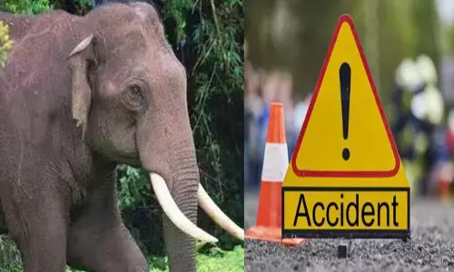 രാ​ത്രി നടുറോഡിൽ പരിഭ്രാന്തി പടർത്തി കാ​ട്ടാ​ന​; കൺമുന്നിൽ കണ്ടപാടെ ഭ​യ​ന്ന് വിറച്ച് അപകടം; നിയന്ത്രണം തെറ്റി ബൈക്ക് മറിഞ്ഞ് യാത്രക്കാരന് പരിക്ക്; സംഭവം കോ​ട്ട​പ്പ​ടിയിൽ