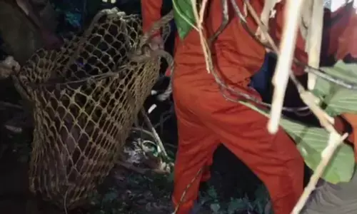 മകളുടെ വീട്ടിൽ നിന്ന് യാത്ര പറഞ്ഞ് ഇറങ്ങി കാണാതായി; ഏറെ നേരെത്തെ തിരച്ചിലിനൊടുവിൽ വയോധികയെ കണ്ടെത്തിയത് കിണറ്റിൽ നിന്ന്; പോലീസ് അന്വേഷണം തുടങ്ങി