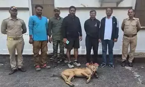 ഒരുമാസത്തിനിടെ ആക്രമിച്ചത് 25 പേരെ; കൊല്ലപ്പെട്ടത് 6 പേർ; തെർമൽ ഡ്രോണുകൾ ഉപയോഗിച്ച് പരിശോധന; നരഭോജി ചെന്നായയെ പിടികൂടി വനംവകുപ്പ്