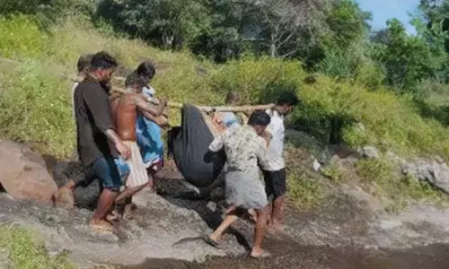 മലയിൽ നിന്ന് പാറക്കല്ല് അടർന്ന് വീണു; കൃഷിയിടത്തിൽ ജോലി ചെയ്തുകൊണ്ടിരുന്ന സ്ത്രീകൾക്ക് പരിക്ക്