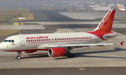 ഭക്ഷണത്തില്‍ മുടി;യാത്രക്കാരന് എയര്‍ ഇന്ത്യ 35,000 രൂപ നഷ്ടപരിഹാരം നല്‍കണം