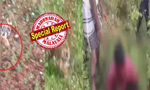 വനത്തിലെ ഭീകരൻ പ്രദേശത്ത് ഇറങ്ങിയിട്ടുണ്ടെന്ന അലർട്ട് കോൾ; സ്ഥലത്ത് ഇരച്ചെത്തിയ വനംവകുപ്പിന്റെ മുൻപിൽ കടുവ പെട്ടതും തുരത്തിയോടിക്കൽ; നാട്ടുകാർ ചിതറിയോടി ചുറ്റും ഭീകരാന്തരീക്ഷം; കൃഷിയിടത്ത് പാഞ്ഞുകയറിയതും കര്‍ഷകനെ അതിദാരുണമായി കടിച്ചുകീറി; നില അതീവ ഗുരുതരം; സംഭവത്തിൽ പ്രതിഷേധം ശക്തം