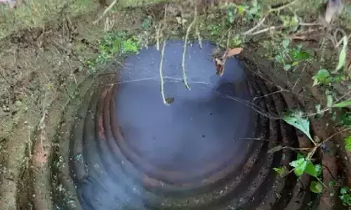 വനം വകുപ്പ് സ്ഥാപിച്ച ക്യാമറയിൽ പതിഞ്ഞ ദൃശ്യം; കിണറ്റിൽ വീണ നിലയിലൊരു അജ്ഞാത ജീവി; പരിശോധനയിൽ പതിഞ്ഞത്; കൂട്ടിലാക്കുമെന്ന് അധികൃതർ