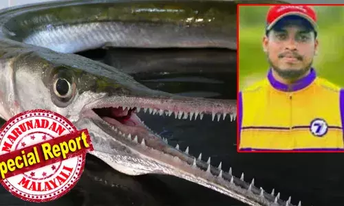 വെള്ളത്തിൽ നിന്ന് ഉയർന്നുചാടി വയറ്റിൽ കുത്തിക്കയറിയത് 10 ഇഞ്ചോളം വലിപ്പമുള്ള ഹൗണ്ട് ഫിഷ്; മീനിന്റെ ആക്രമണത്തിൽ ആന്തരികാവയവങ്ങൾക്ക് ഗുരുതര പരിക്കേറ്റ 24കാരന് ദാരുണാന്ത്യം; അക്ഷയ്‌യുടെ മരണത്തിൽ ചികിത്സാ പിഴവ് ആരോപിച്ച് കുടുംബവും