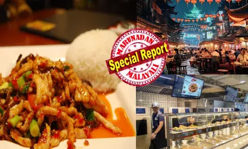 വിശന്ന് തളർന്ന് എന്തെങ്കിലും ഒന്ന് കഴിക്കാമെന്ന് കരുതുമ്പോൾ ചുറ്റും മനം മടുത്തുന്ന കാഴ്ചകൾ; ഹോട്ടലിൽ കയറിയാൽ കാണുന്നത് വിചിത്രമായ സംഭവങ്ങൾ; പലരും വളരെ അസ്വസ്ഥതയോടെ പെരുമാറുന്നു; ചിലർ സഹിക്കാൻ വയ്യാതെ ഛർദ്ദിക്കുന്നു; തുടരെത്തുടരെ ഭക്ഷണത്തിൽ കണ്ടത്