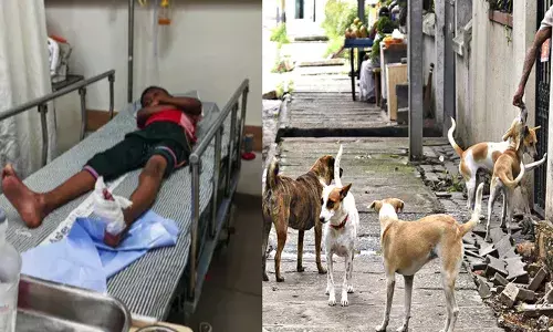 ഉറങ്ങിക്കിടന്ന കുട്ടിയെ തെരുവ് നായ വീടിനുള്ളില്‍ കയറി കടിച്ചു; പരിക്കേറ്റ കുട്ടി ആശുപത്രിയില്‍