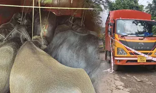 കാലിക്കടത്ത് പരിശോധനയ്ക്കിടെ നിര്‍ത്താതെ വാഹനം ഓടിച്ച് പോയി; മലയാളിയെ വെടിവച്ച് കീഴ്‌പ്പെടുത്തി കര്‍ണാടക പൊലീസ്