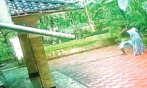 പറമ്പിൽ പാമ്പുണ്ടെന്ന് യുവാവ്; കൈചൂണ്ടി കാണിച്ചിടത്തേക്ക് നോക്കിയതേ ഓർമയുള്ളു; വീട്ടമ്മയുടെ സ്വർണ്ണമാലയുമായി കള്ളൻ കടന്നു; പിടിയിലായത് ബംഗാൾ സ്വദേശി