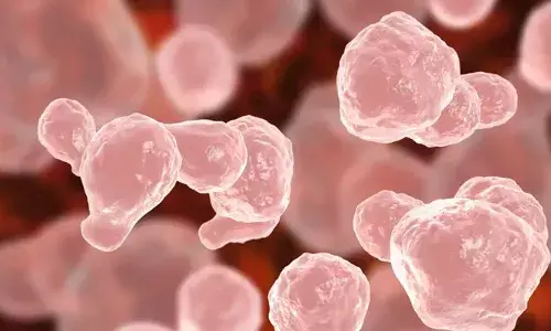 നേത്ര പരിശോധനയ്ക്ക് എത്തിയ 13 വയസ്സുകാരന് മസ്തിഷ്‌ക ജ്വരം; ജലാശയത്തിലെ വെള്ളം ഉപയോഗിച്ചിട്ടില്ല; തീരദേശ മേഖല ആശങ്കയില്‍