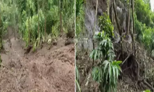 ഒറ്റ രാത്രി കൊണ്ട് ഉരുൾപ്പൊട്ടിയത് പതിനഞ്ച് സ്ഥലങ്ങളിൽ; വിളവെടുപ്പിന് പാകമായ ആയിരക്കണക്കിന് ഏലച്ചെടികൾ എല്ലാം പോയി; കോടികളുടെ നഷ്ടം; ദുരിതത്തിലായി പത്തുമുറിയിലെ കർഷകർ