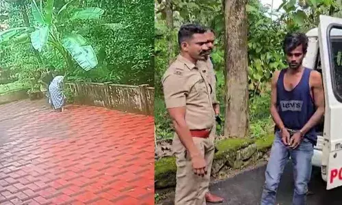 പാമ്പ് കയറിയെന്ന് പറഞ്ഞ് പറമ്പില്‍ തിരച്ചില്‍;  80കാരിയുടെ മാലപൊട്ടിച്ച പ്രതി പിടിയില്‍