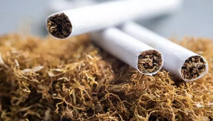 സ്പെഷ്യൽ സ്‌ക്വാഡുകളുടെ വരവിൽ കച്ചവടക്കാർക്ക് മുട്ടൻ പണി; പരിശോധനയിൽ കൈയ്യോടെ പൊക്കി; മലപ്പുറത്ത് വിദ്യാഭ്യാസ സ്ഥാപനങ്ങളുടെ സമീപം പുകയില വിൽപ്പന നടത്തിയതിൽ കടുത്ത നടപടി