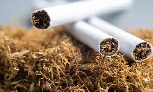 സ്പെഷ്യൽ സ്‌ക്വാഡുകളുടെ വരവിൽ കച്ചവടക്കാർക്ക് മുട്ടൻ പണി; പരിശോധനയിൽ കൈയ്യോടെ പൊക്കി; മലപ്പുറത്ത് വിദ്യാഭ്യാസ സ്ഥാപനങ്ങളുടെ സമീപം പുകയില വിൽപ്പന നടത്തിയതിൽ കടുത്ത നടപടി