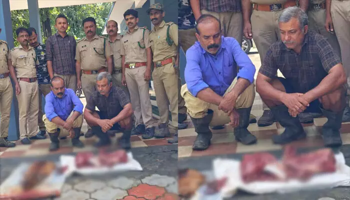 കേബിൾ കുരുക്കിൽ പിടികൂടിയ കേഴ മാനുകളെ ഇറച്ചിയാക്കി; വയനാട് സഹോദരങ്ങള് അറസ്റ്റിൽ; പിടിച്ചെടുത്തത് പത്ത് കിലോയോളം ഇറച്ചി കേബിൾ കുരുക്കിൽ പിടികൂടിയ കേഴ മാനുകളെ ഇറച്ചിയാക്കി; വയനാട് സഹോദരങ്ങള് അറസ്റ്റിൽ; പിടിച്ചെടുത്തത് പത്ത് കിലോയോളം ഇറച്ചി