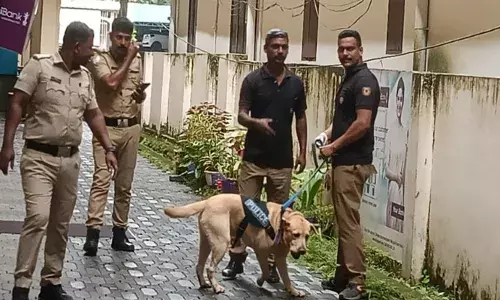 പന്തളം നഗര ഹൃദയത്തില്‍ അഞ്ച് വ്യാപാര സ്ഥാപനങ്ങളില്‍ മോഷണശ്രമം; പുതുതായി ആരംഭിച്ച ബേക്കറിയില്‍ നിന്നും അരലക്ഷം രൂപ അപഹരിച്ചു