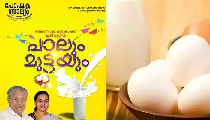 അങ്കണവാടികളിലെ കുഞ്ഞുങ്ങള്ക്കുള്ള പാലും മുട്ടയും പറഞ്ഞ അളവില് കൃത്യമായി നല്കണം; പോഷകബാല്യം പദ്ധതി കാര്യക്ഷമമായി നടപ്പിലാക്കണമെന്ന് മനുഷ്യാവകാശ കമ്മീഷന് ഉത്തരവ് അങ്കണവാടികളിലെ കുഞ്ഞുങ്ങള്ക്കുള്ള പാലും മുട്ടയും പറഞ്ഞ അളവില് കൃത്യമായി നല്കണം; പോഷകബാല്യം പദ്ധതി കാര്യക്ഷമമായി നടപ്പിലാക്കണമെന്ന് മനുഷ്യാവകാശ കമ്മീഷന് ഉത്തരവ്