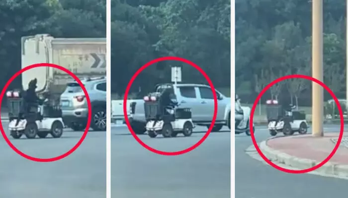 തിരക്കേറിയ റോഡിലൂടെ സ്കൂട്ടർ ഓടിക്കുന്ന നായ; വീഡിയോ കണ്ട് ഞെട്ടി ആളുകൾ; ഒടുവിൽ ട്രാഫിക് പോലീസ് ഇടപെട്ടപ്പോൾ സംഭവിച്ചത് തിരക്കേറിയ റോഡിലൂടെ സ്കൂട്ടർ ഓടിക്കുന്ന നായ; വീഡിയോ കണ്ട് ഞെട്ടി ആളുകൾ; ഒടുവിൽ ട്രാഫിക് പോലീസ് ഇടപെട്ടപ്പോൾ സംഭവിച്ചത്