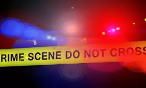 ആറ് വയസ്സുകാരിയായ മകളെ ബലാത്സംഗം  ചെയ്തു; സ്വവര്‍ഗ പങ്കാളിയുടെ ജനനേന്ദ്രിയം മുറിച്ചു മാറ്റിയ ശേഷം പിതാവ് ജീവനൊടുക്കി