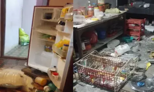 വീട്ടിൽ കയറി മുഴുവൻ ബഹളം; ആർക്കും സമാധാനം കൊടുക്കില്ല; ചില സമയം വസ്ത്രങ്ങൾ കണ്ടാൽ പോലും വെറുതെ വിടില്ല; കുരങ്ങ് ശല്യത്തിൽ വലഞ്ഞ് നാട്ടുകാർ