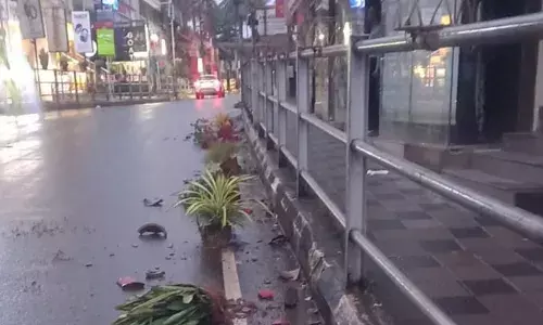 റോഡരികില്‍ സ്ഥാപിച്ച 25-ഓളം ചെടിച്ചട്ടികള്‍ എറിഞ്ഞു നശിപ്പിച്ചു; പിടിയിലായത് അസം സ്വദേശി