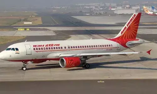 ടേക്ക് ഓഫ് ചെയ്തതിനു തൊട്ടുപിന്നാലെ പക്ഷിയിടിച്ചു; നാഗ്പൂരില്‍ നിന്നും ഡല്‍ഹിയിലേക്ക് പുറപ്പെട്ട എയര്‍ ഇന്ത്യാ വിമാനം തിരിച്ചിറക്കി