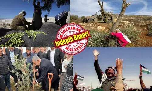 ലക്ഷക്കണക്കിന് ഒലിവ് മരങ്ങള്‍ വെട്ടിക്കളഞ്ഞ് ഇസ്രയേല്‍ അന്നം മുട്ടിക്കുന്നു; ഗാസയില്‍ ജെനോസൈഡെങ്കില്‍ വെസ്റ്റ് ബാങ്കില്‍ ഇക്കോസൈഡെന്ന് പ്രചാരണം; സമാധനപ്രതീകമായ ഒലിവിന്റെ പേരിലും വര്‍ഗീയതയും വിഭാഗീയതയും; വംശഹത്യാവാദത്തിനു ശേഷം ഫലസ്തീനില്‍ മരക്കൊലാവാദം!