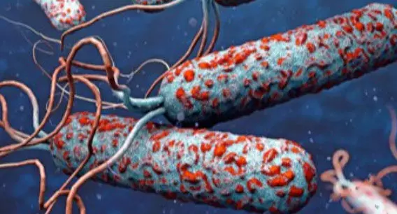 വീണ്ടും കോളറ രോഗബാധ സ്ഥിരീകരിച്ച സാഹചര്യത്തില് ജാഗ്രത കര്ശനമാക്കും; ഇതര സംസ്ഥാന രോഗിയ്ക്ക് രോഗം വന്നത് സംസ്ഥാനത്തിന് പുറത്തു നിന്നെന്ന് നിഗമനം വീണ്ടും കോളറ രോഗബാധ സ്ഥിരീകരിച്ച സാഹചര്യത്തില് ജാഗ്രത കര്ശനമാക്കും; ഇതര സംസ്ഥാന രോഗിയ്ക്ക് രോഗം വന്നത് സംസ്ഥാനത്തിന് പുറത്തു നിന്നെന്ന് നിഗമനം