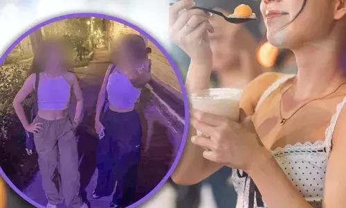 ഇനി ഉടുതുണി ഇല്ലാതെ പുറത്തിറങ്ങരുത്..; ഭക്ഷണം കഴിക്കാൻ മോശം രീതിയിൽ വസ്ത്രം ധരിച്ചെത്തി; സഞ്ചാരികളായ ചൈനീസ് യുവതികൾക്ക് പണി കൊടുത്ത് ജപ്പാനിലെ ഒരു റെസ്റ്റോറെന്റ്