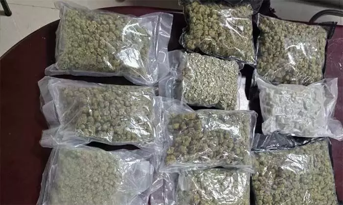 കരിപ്പൂര് വിമാനത്താവളത്തില് യാത്രക്കാരന്റെ ബാഗില് നിന്ന് 3.98 കോടി രൂപയുടെ ഹൈബ്രിഡ് കഞ്ചാവ് പിടികൂടി; കഞ്ചാവുമായി യാത്രക്കാരന് എത്തിയത് ബാങ്കോക്കില് നിന്ന് മസ്കറ്റ് വഴി കരിപ്പൂര് വിമാനത്താവളത്തില് യാത്രക്കാരന്റെ ബാഗില് നിന്ന് 3.98 കോടി രൂപയുടെ ഹൈബ്രിഡ് കഞ്ചാവ് പിടികൂടി; കഞ്ചാവുമായി യാത്രക്കാരന് എത്തിയത് ബാങ്കോക്കില് നിന്ന് മസ്കറ്റ് വഴി