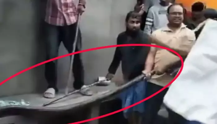 വീടിന്റെ അടുത്ത് ചുമരിനോട് ചേർന്ന് ഒരു അനക്കം ശ്രദ്ധിച്ചു; 12 അടി നീളത്തിൽ കൂറ്റൻ അതിഥി; ഓടയിലൂടെ ഇഴഞ്ഞ് നീങ്ങി കൊടും ഭീതി; നാട്ടുകാർ ഓടിയെത്തിയപ്പോൾ സംഭവിച്ചത് വീടിന്റെ അടുത്ത് ചുമരിനോട് ചേർന്ന് ഒരു അനക്കം ശ്രദ്ധിച്ചു; 12 അടി നീളത്തിൽ കൂറ്റൻ അതിഥി; ഓടയിലൂടെ ഇഴഞ്ഞ് നീങ്ങി കൊടും ഭീതി; നാട്ടുകാർ ഓടിയെത്തിയപ്പോൾ സംഭവിച്ചത്