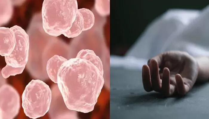 സംസ്ഥാനത്ത് വീണ്ടും ഭീതി പടർത്തി അമീബിക്ക് മസ്തിഷ്ക ജ്വരം ബാധിച്ച് മരണം; ചികിത്സയിലായിരുന്ന ചിറയിൻകീഴ് സ്വദേശിയായ വീട്ടമ്മ മരണത്തിന് കീഴടങ്ങി; രോഗബാധയുടെ ഉറവിടം വ്യക്തമല്ല; അതീവ ജാഗ്രത സംസ്ഥാനത്ത് വീണ്ടും ഭീതി പടർത്തി അമീബിക്ക് മസ്തിഷ്ക ജ്വരം ബാധിച്ച് മരണം; ചികിത്സയിലായിരുന്ന ചിറയിൻകീഴ് സ്വദേശിയായ വീട്ടമ്മ മരണത്തിന് കീഴടങ്ങി; രോഗബാധയുടെ ഉറവിടം വ്യക്തമല്ല; അതീവ ജാഗ്രത