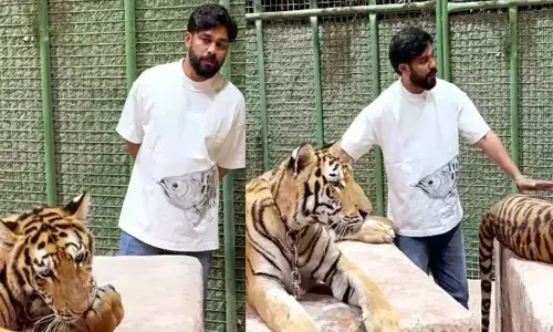 ടാ ചെറുക്കാ, ഇനി മേലാൽ ചാടിപ്പോവരുത്.. എപ്പോഴും പിടിച്ചുകൊടുക്കാനാവില്ല; കടുവക്കൂട്ടിൽ കയറിയ ഷറഫുദ്ദീന്റെ വീഡിയോ സമൂഹ മാധ്യമങ്ങളിൽ വൈറൽ; എടാ ഗിരിരാജൻ കോഴി നീയോയെന്ന് കമന്റ്