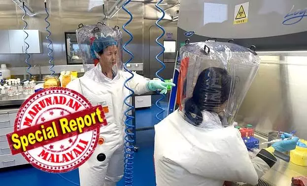 ലോകം വീണ്ടുമൊരു മഹാമാരിയുടെ വക്കിലോ? ബ്രസീലിലെ വവ്വാലുകളില്‍ കണ്ടെത്തിയ പുതിയ വൈറസുകള്‍ ആശങ്കയ്ക്ക് ഇടയാക്കുന്നു; കോവിഡ് മഹാമാരിയുടെ വൈറസിന് സമാനമായ സവിശേഷതകളുള്ള വൈറസെന്ന് ഗവേഷകര്‍