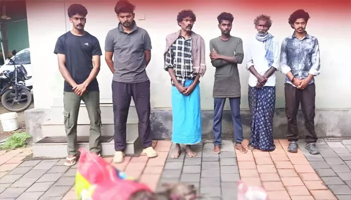 വയനാട്ടിൽ പുള്ളിമാനിനെ കെണിവെച്ച് പിടിച്ച് ഇറച്ചിയാക്കാൻ ശ്രമം; വനംവകുപ്പിന്റെ പിടിയിലായത് ആറംഗസംഘം വയനാട്ടിൽ പുള്ളിമാനിനെ കെണിവെച്ച് പിടിച്ച് ഇറച്ചിയാക്കാൻ ശ്രമം; വനംവകുപ്പിന്റെ പിടിയിലായത് ആറംഗസംഘം