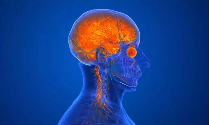 അമീബിക് മസ്തിഷ്കജ്വരം; തിരുവനന്തപുരത്ത് ഒരാള് കൂടി മരിച്ചു അമീബിക് മസ്തിഷ്കജ്വരം; തിരുവനന്തപുരത്ത് ഒരാള് കൂടി മരിച്ചു