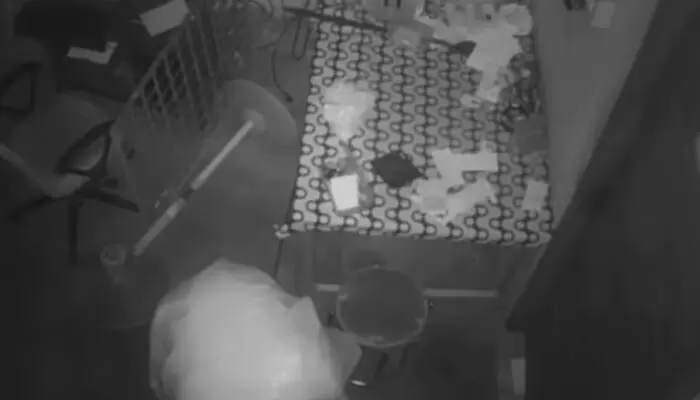 ചേർത്തലയിൽ നിന്നും ലോട്ടറി നൈസായിട്ട് തൂക്കി; ഏജന്റ് എന്ന വ്യാജേന കൊയിലാണ്ടിയിലെ കടയിലെത്തി കൈമാറി; കൈയ്യോടെ പൊക്കി ചേർത്തലയിൽ നിന്നും ലോട്ടറി നൈസായിട്ട് തൂക്കി; ഏജന്റ് എന്ന വ്യാജേന കൊയിലാണ്ടിയിലെ കടയിലെത്തി കൈമാറി; കൈയ്യോടെ പൊക്കി