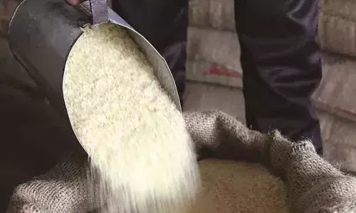 വെള്ളക്കാര്‍ഡുകാരുടെ വിഹിതം ഉയര്‍ത്തി; നവംബറില്‍ അഞ്ചു കിലോ അരി