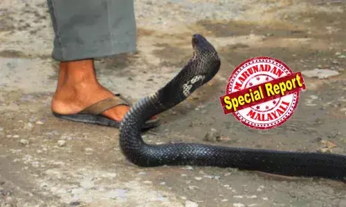 വന്യജീവി സംഘര്‍ഷത്തില്‍ മനുഷ്യ ജീവനെടുക്കുന്നതില്‍ മുന്നില്‍ പാമ്പുകള്‍; വനംവകുപ്പിന്റെ കണക്ക് പ്രകാരം നാല് വര്‍ഷത്തിനിടെ പാമ്പു കടിയേറ്റ് മരിച്ചത് 1,158 പേര്‍; കാട്ടാനയുടെ ആക്രമണത്തില്‍ മരിച്ചത്  290 പേരും; പാമ്പുകടി മരണം പൂര്‍ണമായി ഇല്ലാതാക്കാനുള്ള ദൗത്യത്തിലെന്ന് വനംവകുപ്പ്